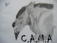 /album/fotogaleria/lobo-jpg/